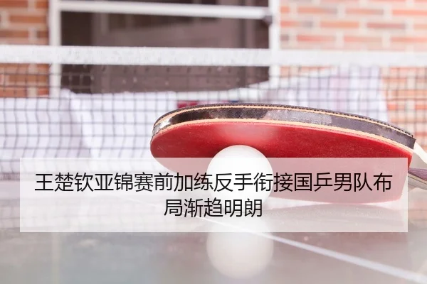 王楚钦亚锦赛前加练反手衔接国乒男队布局渐趋明朗